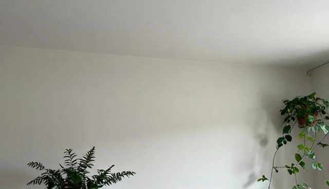 官网建设中服务器选择的适用情况与限制